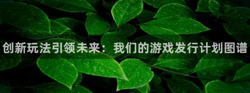 新城平台官网首页登录