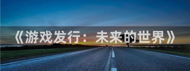新城平台线路登录不上去：《游戏发行：未来的世界》