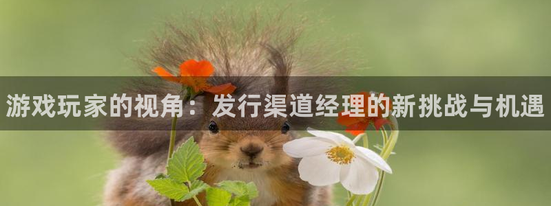 新城平台注册网址是什么