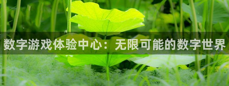 新城平台负责人是谁：数字游戏体验中心：无限可能的数字世界