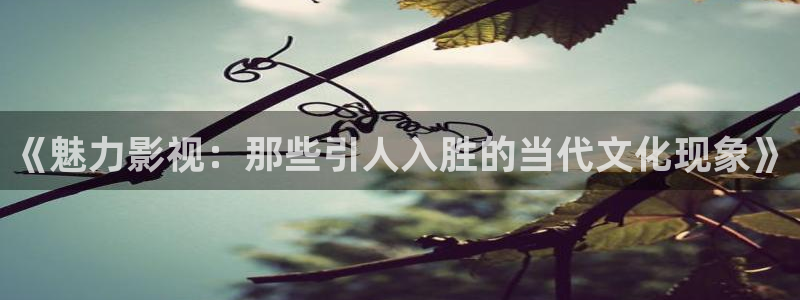 晴天影院在线观看：《魅力影视：那些引人入胜的当代文化现象》