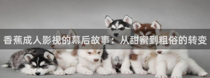晴天视频下载：香蕉成人影视的幕后故事：从甜蜜到粗俗的转变