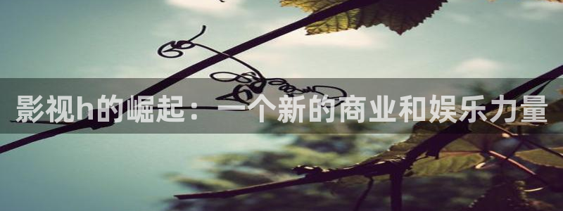 晴天影院：影视h的崛起：一个新的商业和娱乐力量