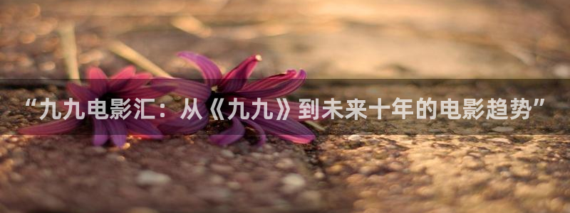 月之晴天电影免费播放：“九九电影汇：从《九九》到未来十年的电影趋势”