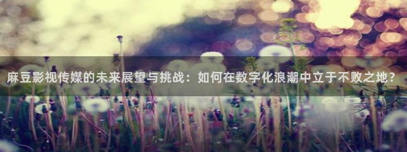 晴天影视：麻豆影视传媒的未来展望与挑战：如何在数字化浪潮中立于不败之地？