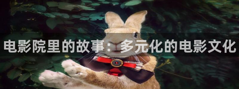 晴天影视下载最新版本：电影院里的故事：多元化的电影文化